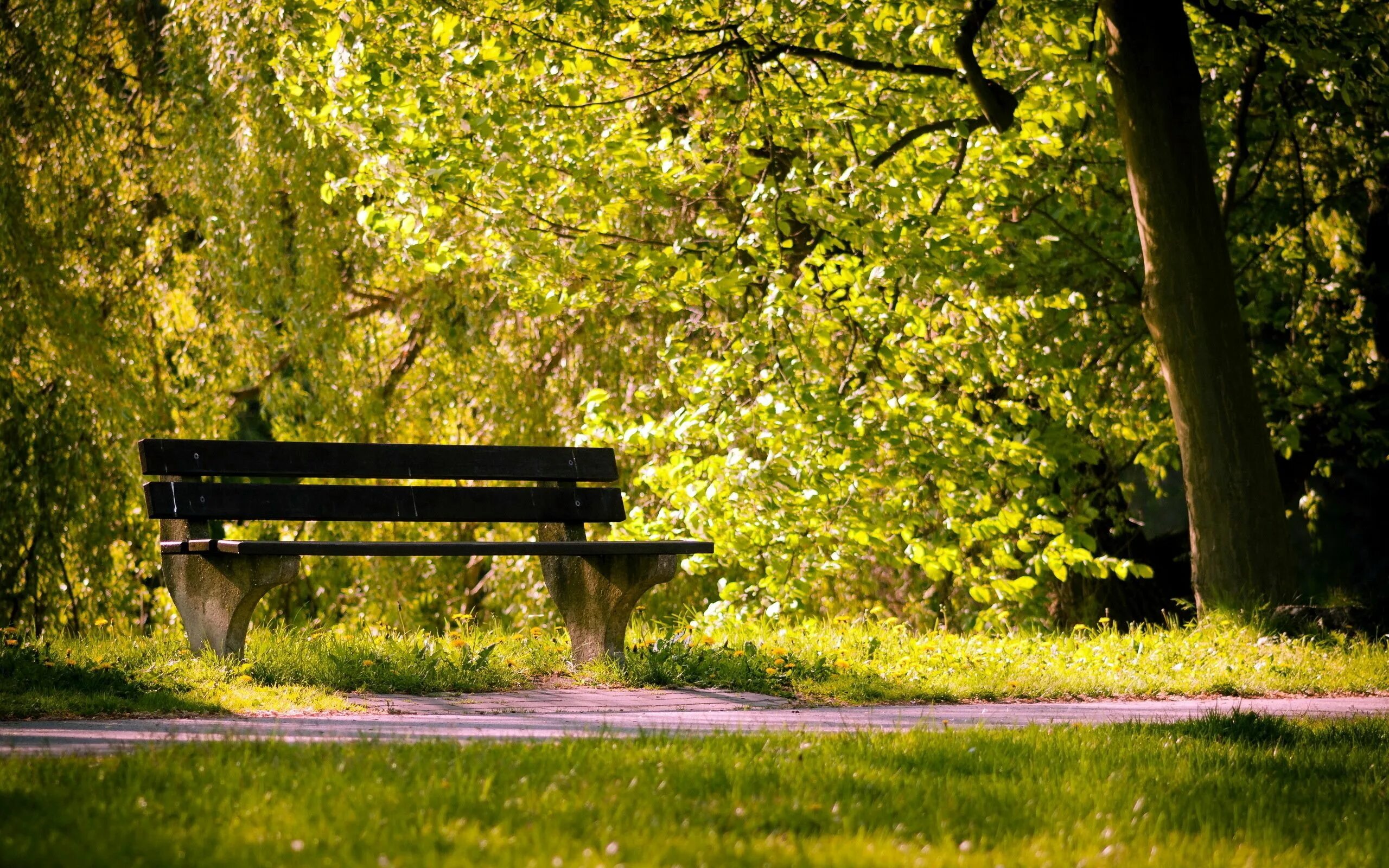 Слайд парк. Терлецкий парк лавочки. Hyde Park лавочки. Кунцевский лесопарк скамейки. Парк лавочка Англия.