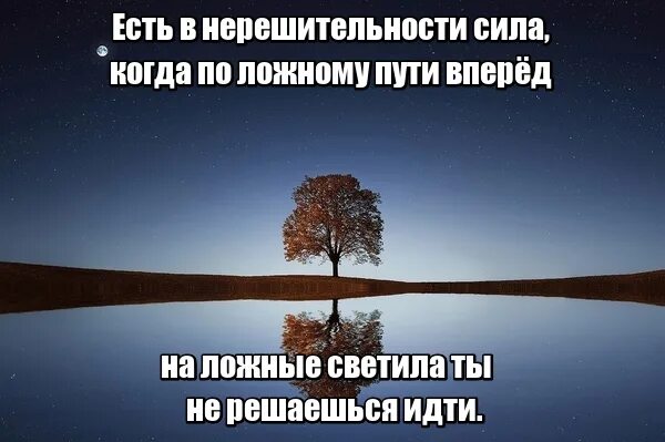 Картинка а ты завел будильник. Всё идёт своим чепедом. Если тебя послали приколы. Идти к своей цели. Решил проблему не решать ленивец.