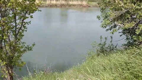 Рыбалка в волгодонске и окрестностях
