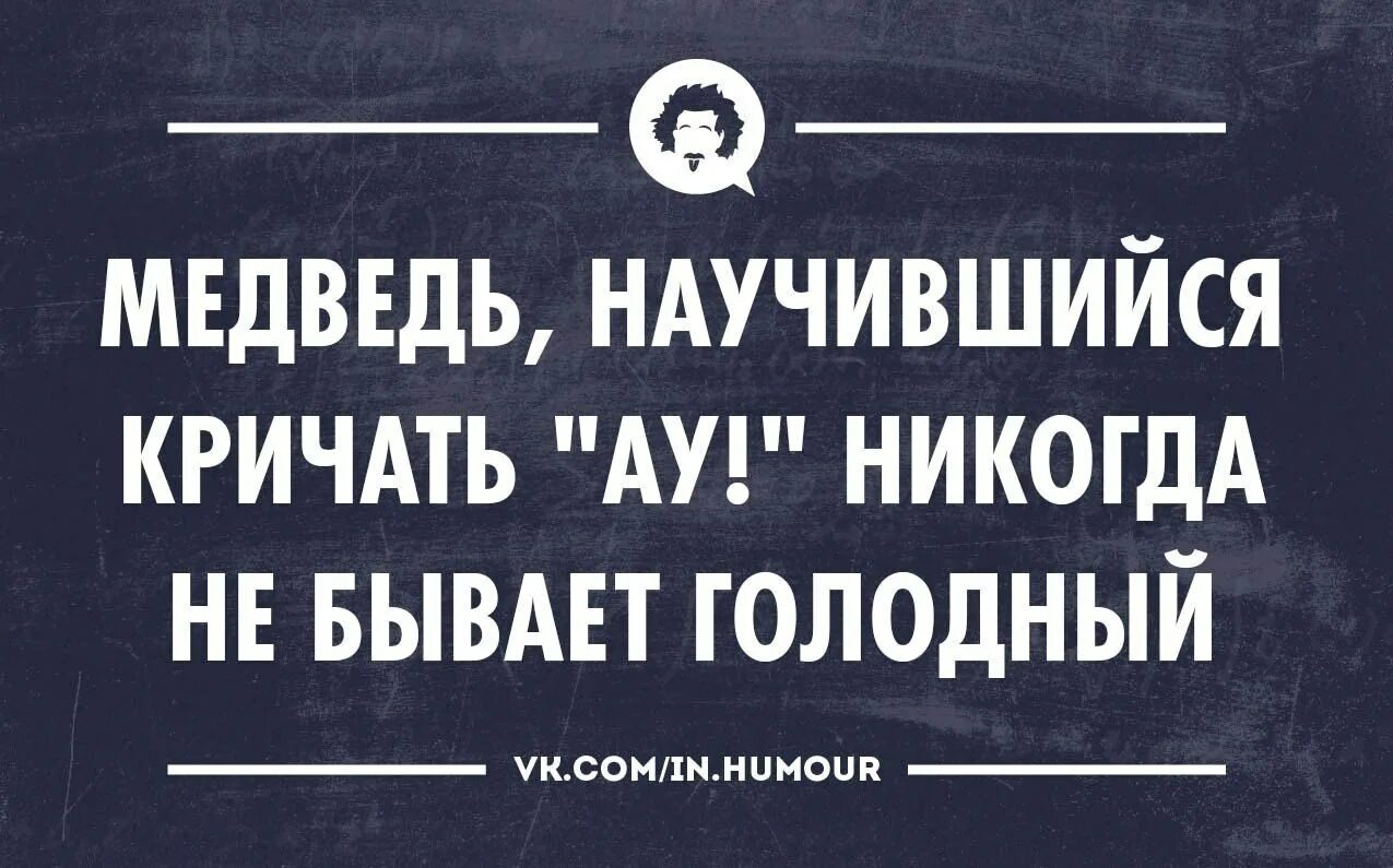 Бывает и голодный. Сарказм юмор. Саркастические шутки. Прикольные афоризмы и высказывания с сарказмом. Сарказмы смешные.