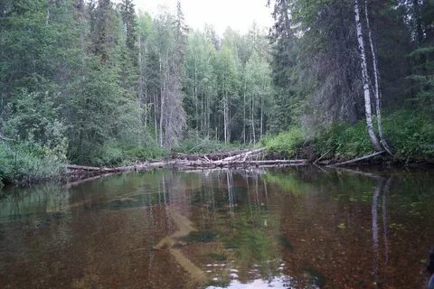 Северные реки видео