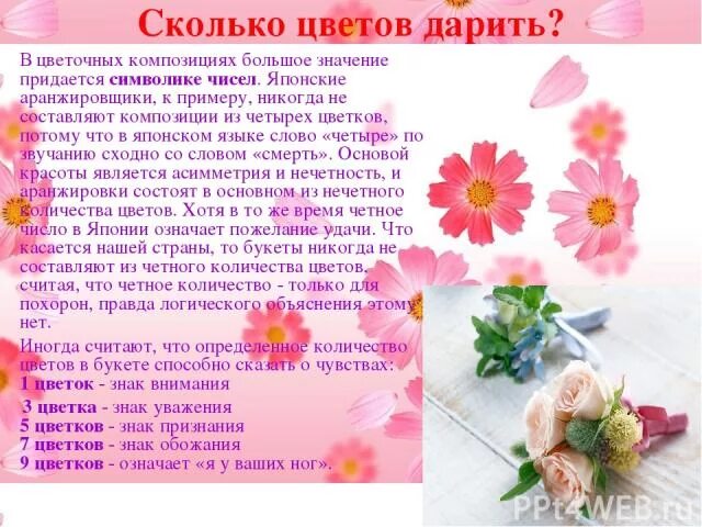 Сколько цветов нужно дарить живым людям. Сколько цветов можно дарить на день рождения. Количество цветов дарят. Количество цветов чтобы подарить. Сколько количество цветов можно дарить.