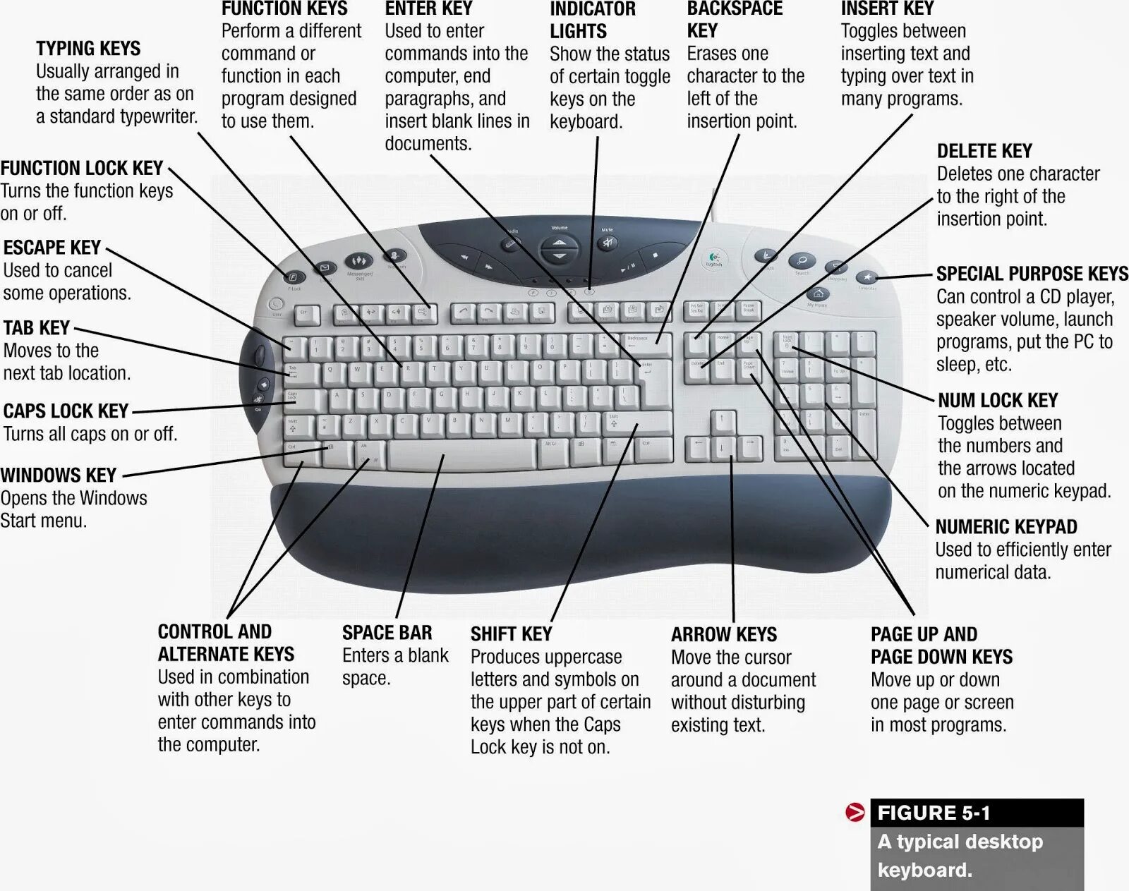 In the beginning was the computer