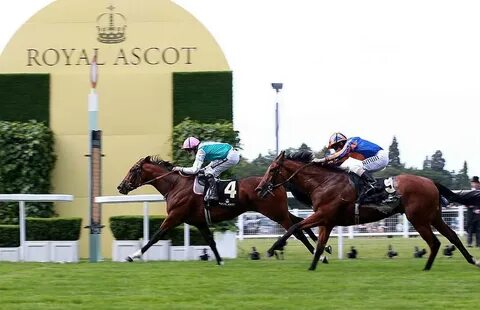 Ascot horse racing
