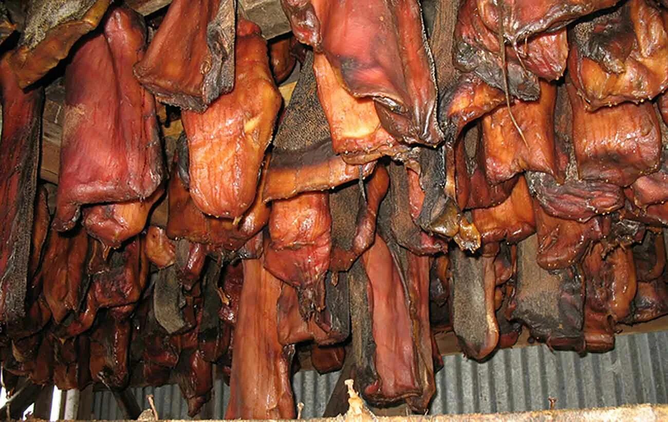 едят ли тухлое мясо. едят ли тухлое мясо.