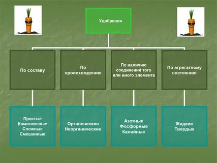 Роль органических удобрений