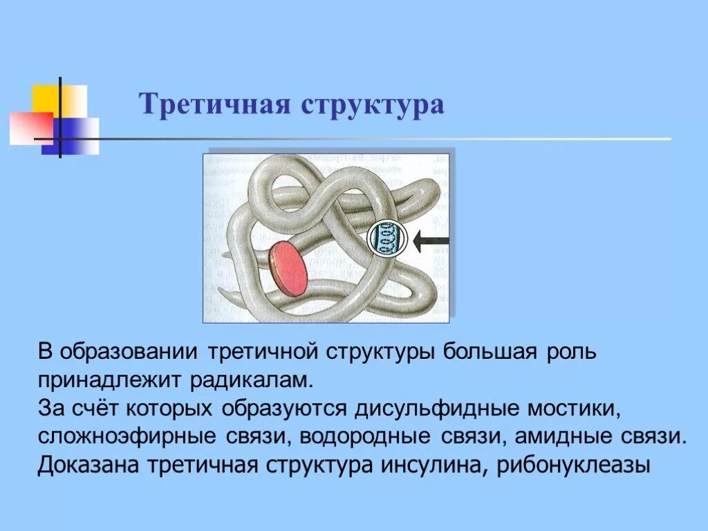 Образование дисульфидных связей в белке. Третичная структура белка дисульфидные мостики. Дисульфидный мостик структура белка. Третичная структура. Третичная структура белков.