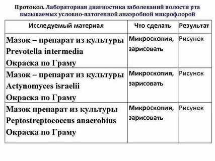 Анаэробы полости рта