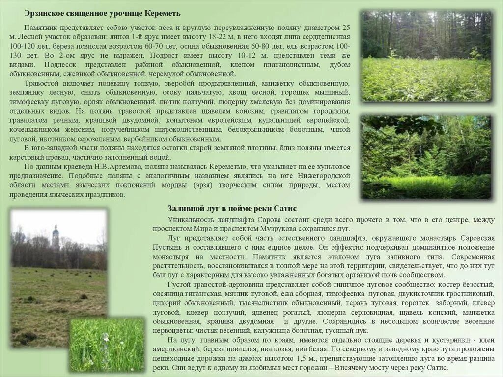 Урочище ландшафтоведение. Фации урочища подурочища. Фация урочище местность ландшафт. Урочище это ландшафт. Урочище что это значит.