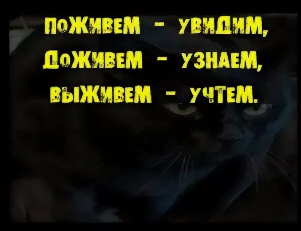 Пословица поживем увидим. Поживём увидим Доживём узнаем выживем учтём. Доживу узнаю выживу учту. Поживу увижу доживу узнаю выживу учту. Поживем увидим.