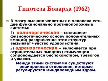 Физиологическая составляющая