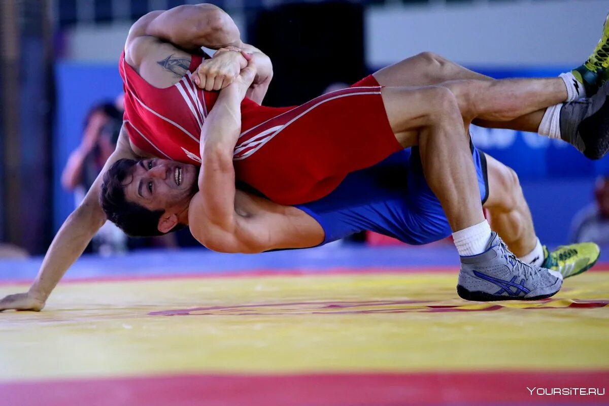 Греко римская борьба прогиб. Greco roman wrestling team. классическая борьба. выносливость в борьбе. мужская борьба.