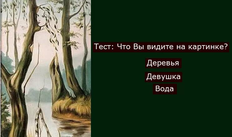 Тест что вы видите на картинке. Кого ты видишь на картинке. Кто что видит на картинке. Кого вы видите на этой картинке. Тест что ты скрываешь