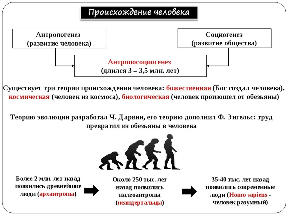 Условием развития человека помимо реальности егэ. Теории возникновения человека Обществознание. Теории происхождения человека схема. Теории происхождения человека Обществознание. Теории происхождения человека Обществознание 10 класс.