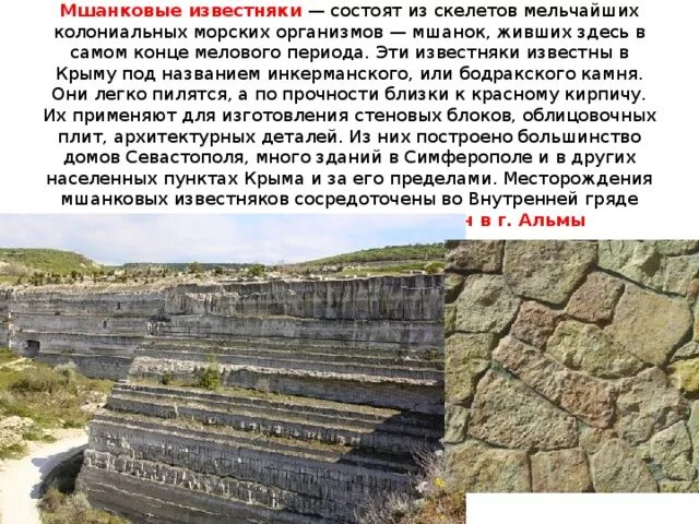 Полезные ископаемые добывающие в крыму. Мшанковый известняк в крыму. мшанково водорослевые известняки. инкерманский известняк. полезные ископаемые крыма известняк.