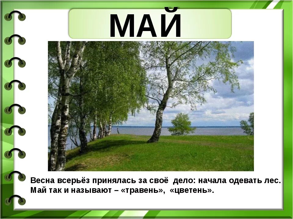 Что происходит в лесу в мае. Презентация на тему ве. Весенние месяцы- слайды.