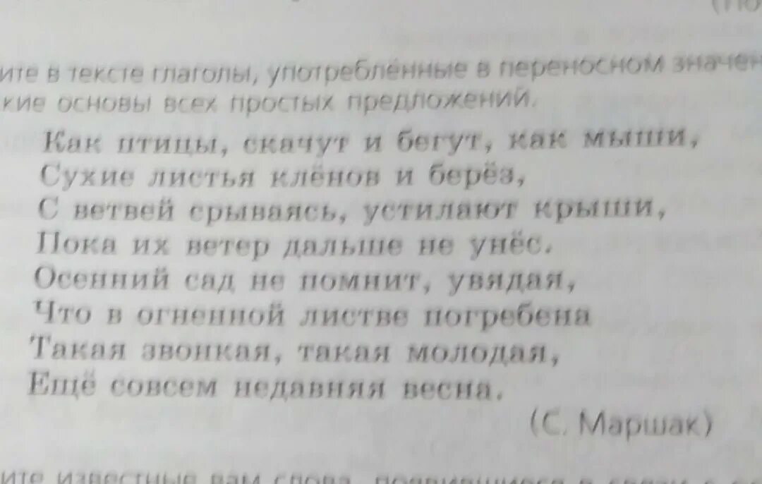 С глаголами дремать купаться. Найдите в тексте глаголы употребленные. Найдите в тексте глаголы употреблённые в переносном значении. Глаголы употребляемые в переносном смысле. Дремать в переносном значении.