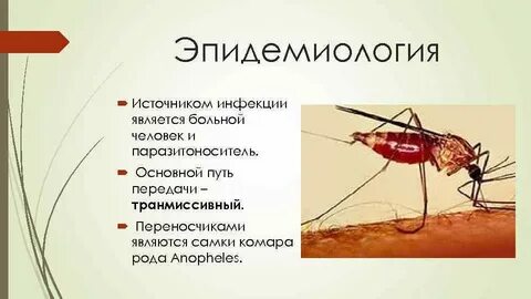 Какая среда обитания у комара