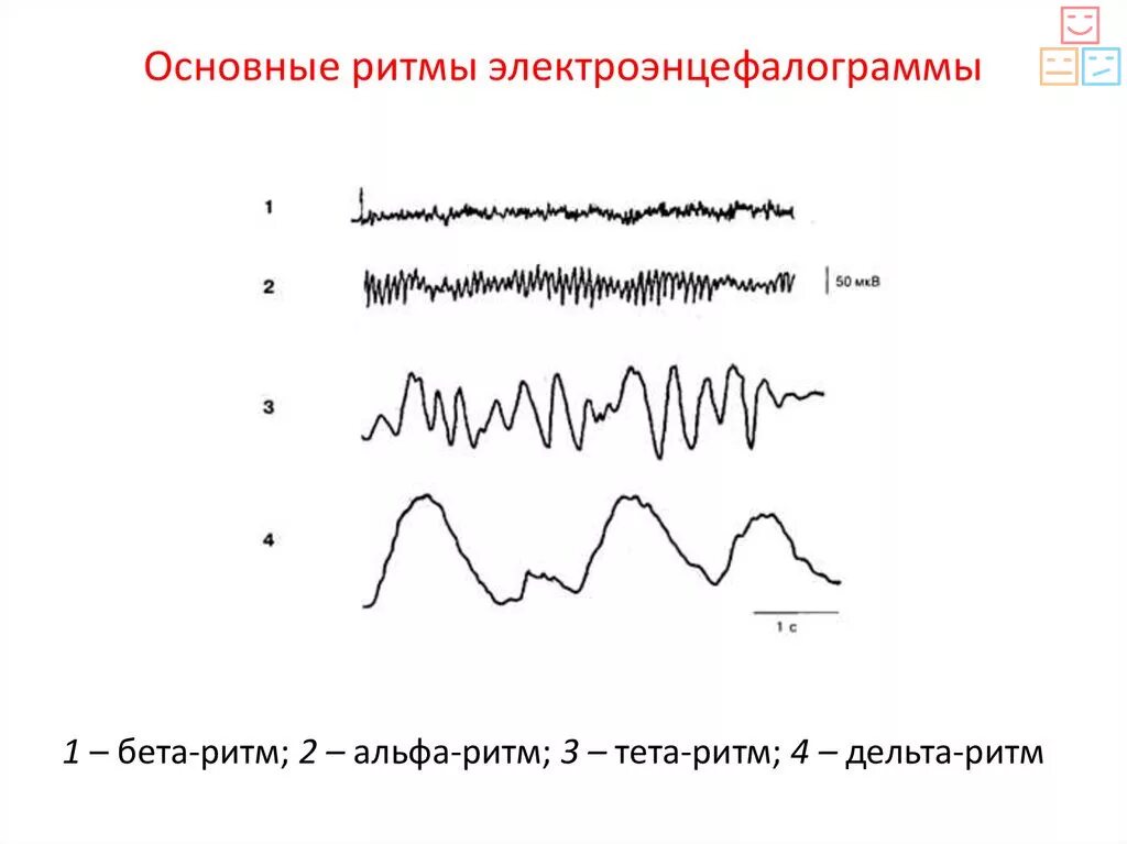 Волны на ээг расшифровка. Основной ритм головного мозга. Ээг головного мозга альфа ритм норма. Патологическая активность на ээг что это. Частота альфа-ритма мозга человека.