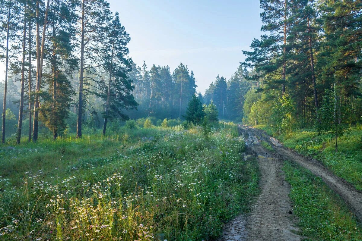 Будет лето на южном урале. Южный Урал Миасс природа. Тайга Урала панорама. Южный Урал летом. Лето на Урале.