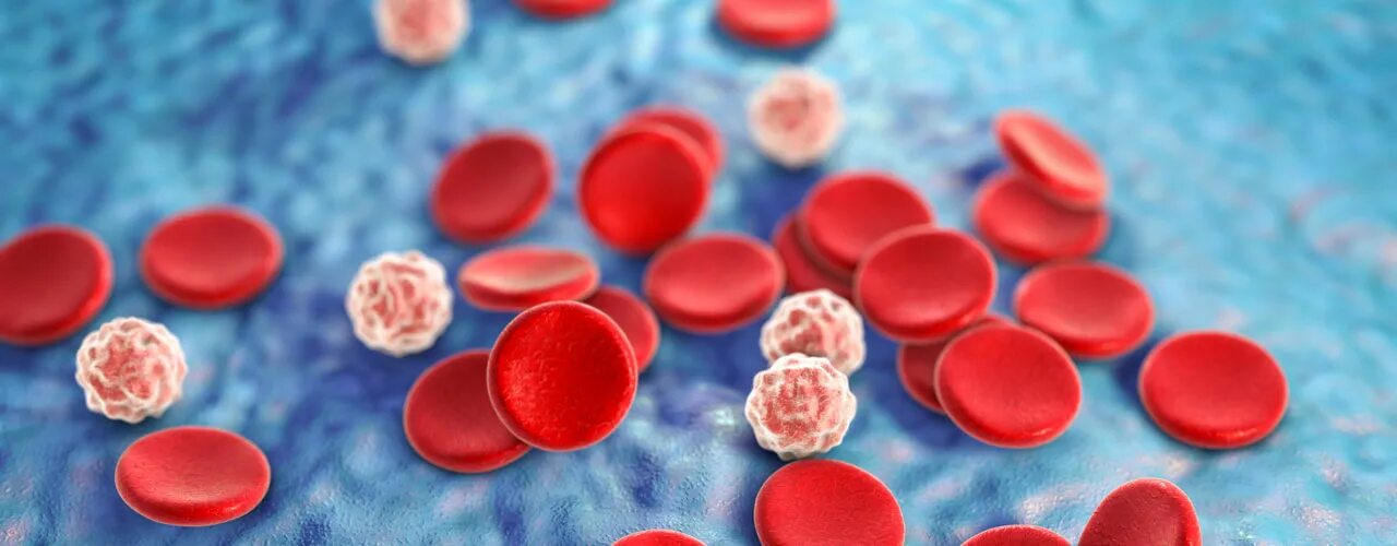 Кровь гематология. Кровь гематология. Клетки крови фото. Железодефицитная анемия гемоглобин. Гематология бесплатные.