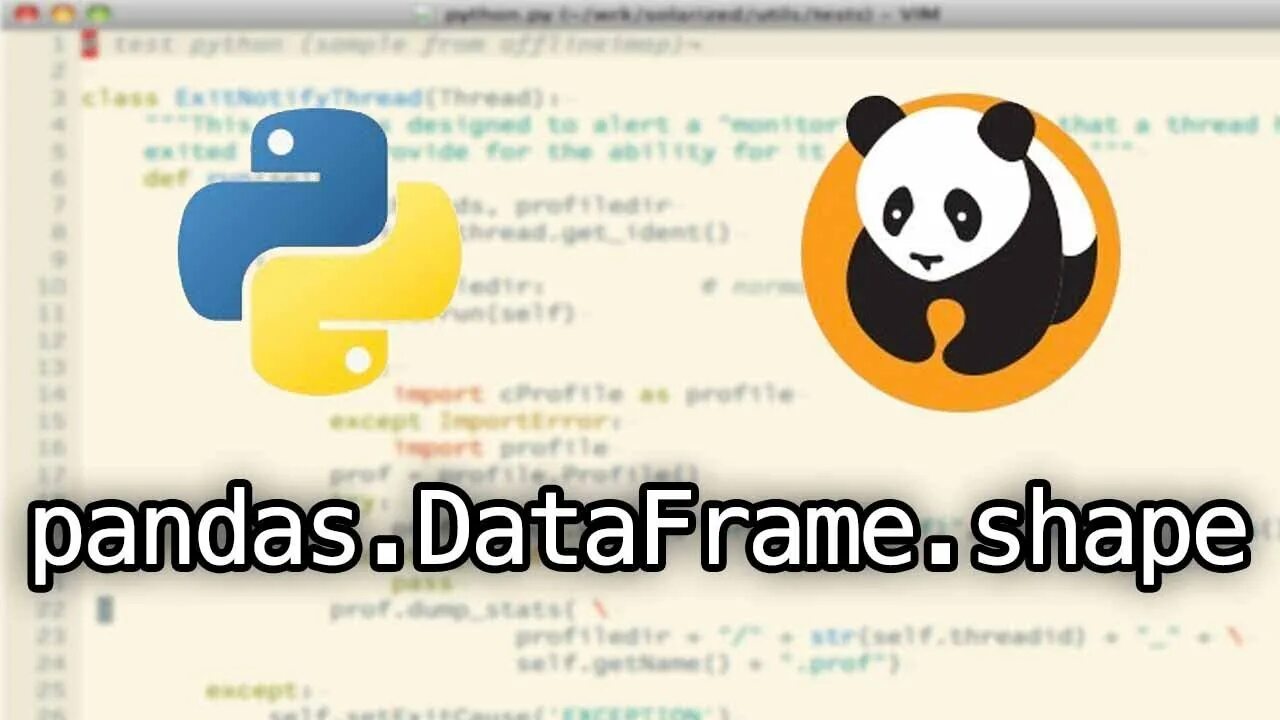 Pandas примеры. Shape пандас. pandas python. pandas dtypes. метод shape pandas.