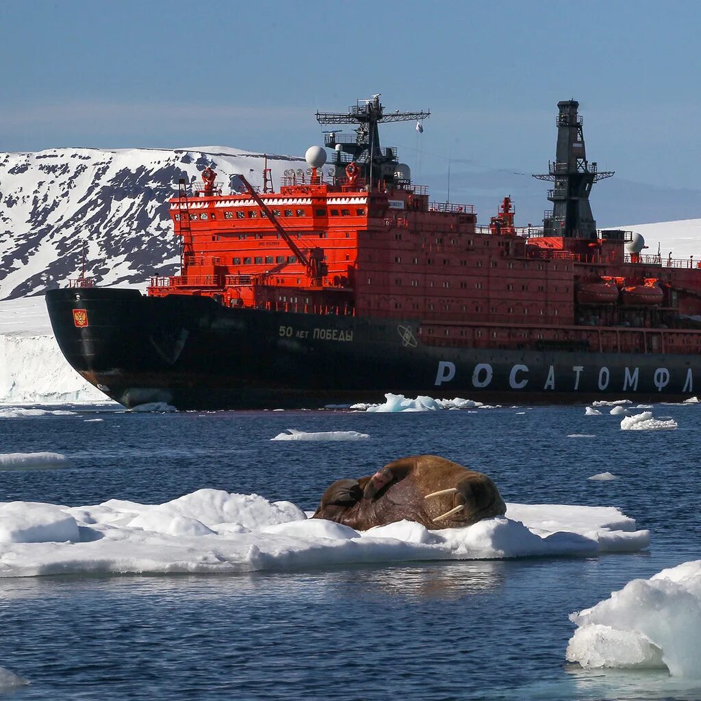 Грот ледокол. Северный морской путь ледоколы. атомоход севморпуть. атомный ледокол севморпуть. ледокол 50 лет победы.