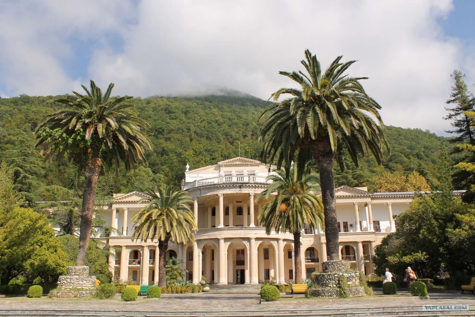 Амра фото. Амра фото. Amra park-hotel & spa, абхазия, гагра. Амра фото. Отель амра гагра абхазия.