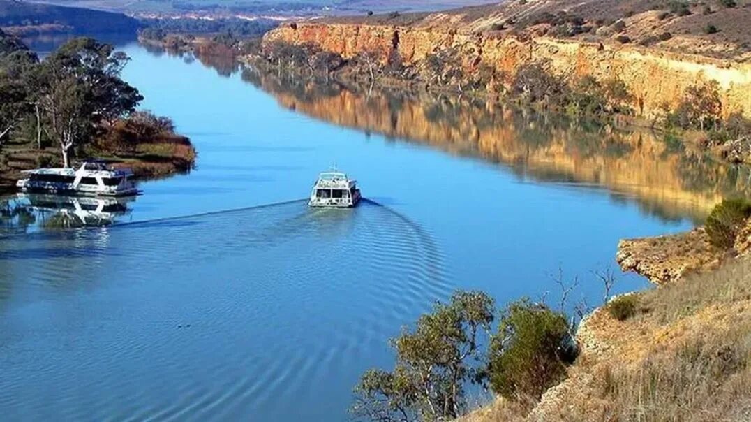 Муррей в Австралии. Река Муррей. Австралия река Муррей Дарлинг. Реки Дарлинг и Муррей. Внутренние озера австралии