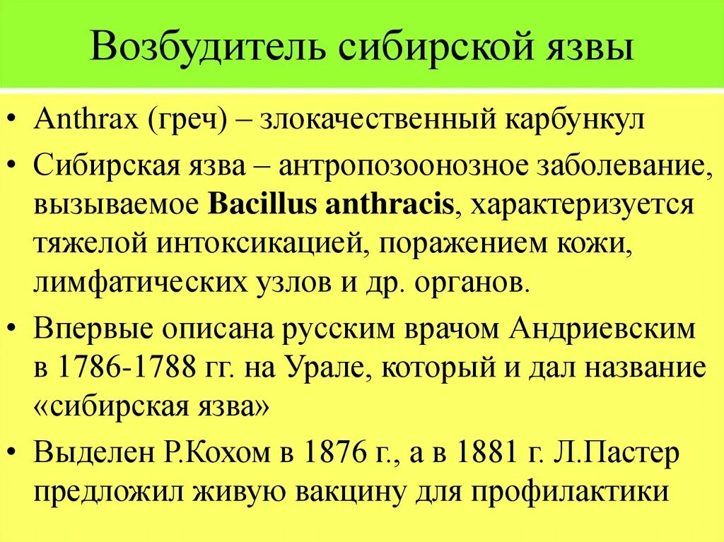 Сибирская язва возбудитель. Характеристика возбудителя сибирской язвы. Возбудитель сибирской язвы Bacillus anthracis. Микробиологическая характеристика возбудителя сибирской язвы. Язвенный латынь