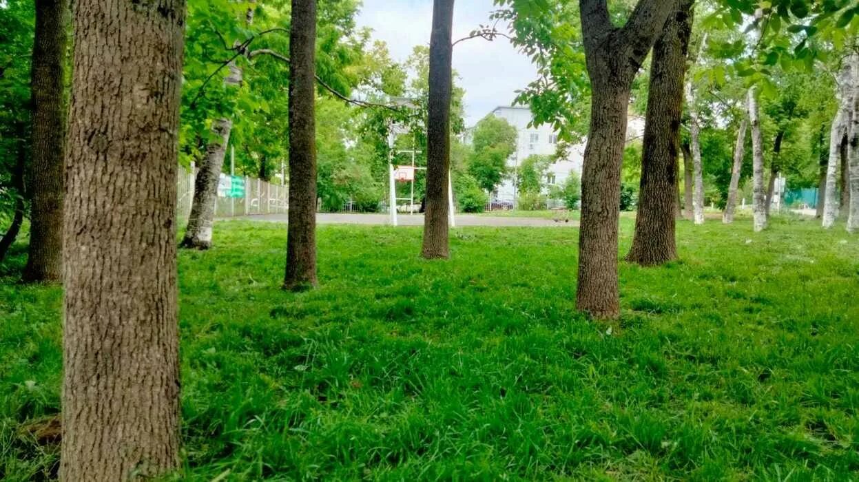 летняя веранда в нескучном саду. нескучный сад в москве. нескучный сад гинзбург. нескучный сад салмановых. персиковый сад салмановых дагестан.