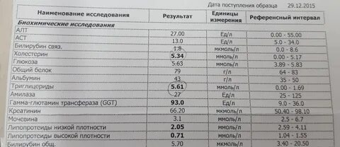 Повысился билирубин форум
