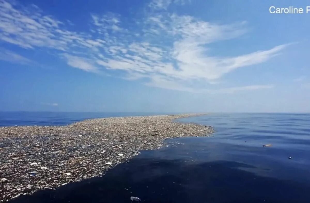 Открыли новый океан. Мусорный остров в Карибском море. Пластик в океане.