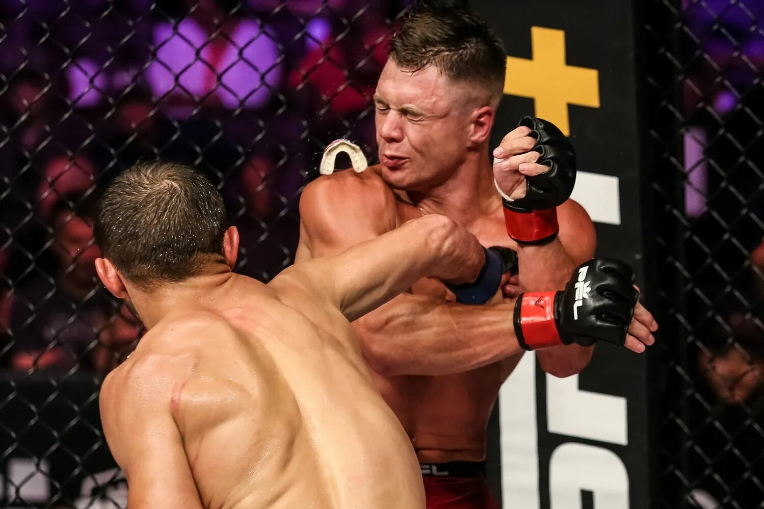 Часы мма. Боец мма александр волков. Мма сша. Крис уэйд боец. Тимофей настюхин эдди альварес.