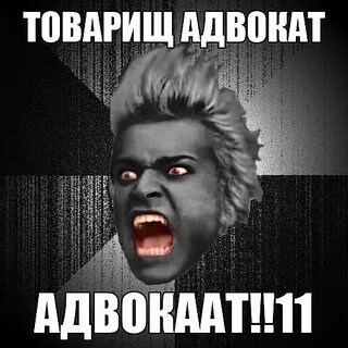 Товарищи юристы