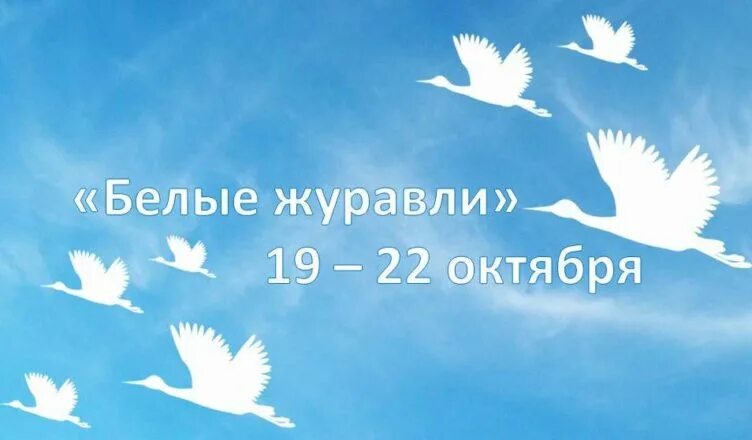 Прошла акция белые журавли. Акция белые журавли 22 октября. патриотическая акция белые журавли. патриотическая акция белый журавлик. белые журавли памяти.