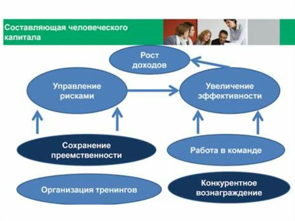 Цели человеческого капитала. Управление человеческим капиталом. Развитие человеческого капитала. Качество человеческого капитала. Проект человеческий капитал.