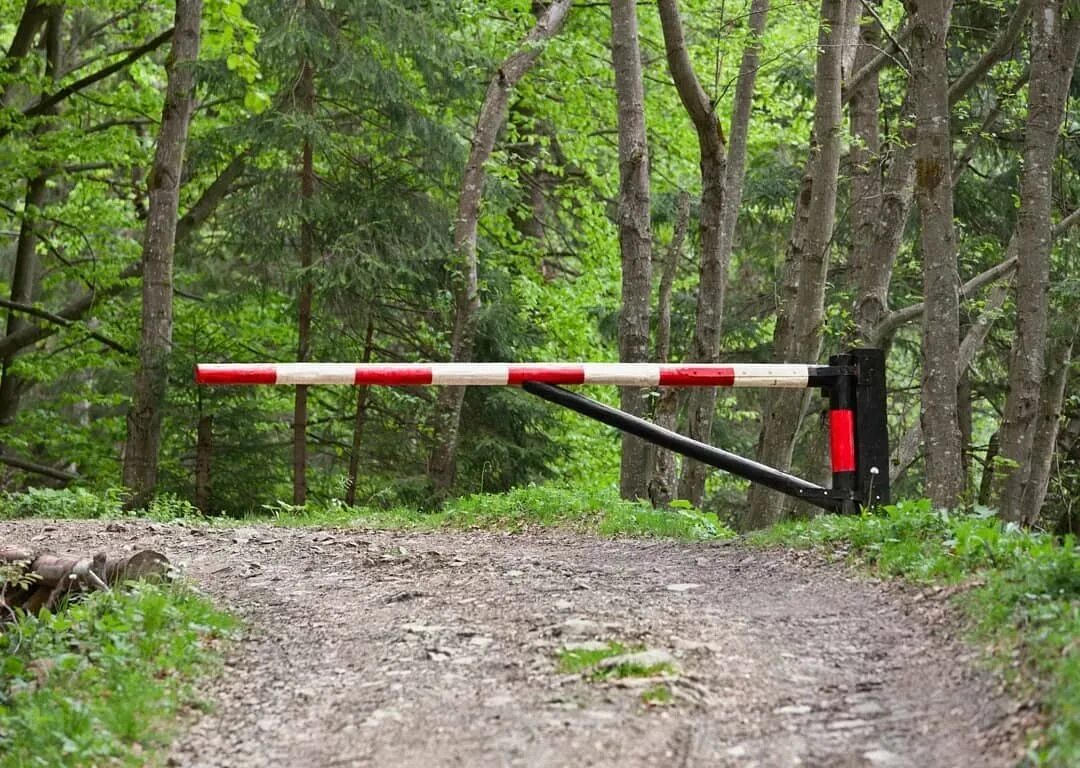 Районы леса закрытые для посещения
