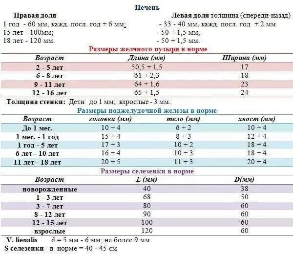 Какие размеры печени