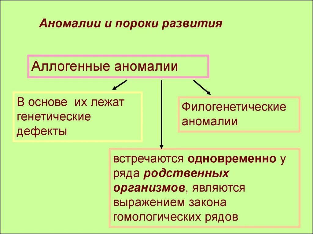 Основные аномалии развития. Аллогенные пороки. Аллогенные пороки развития это. Аллогенные аномалии примеры.