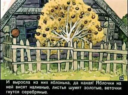 Вырасту род