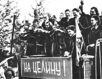 Дата освоения целинных земель