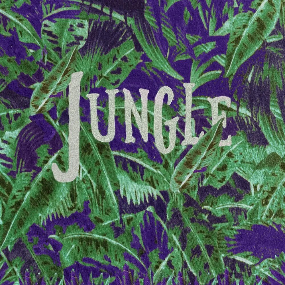 Jungle жанр. Надпись джунгли. jungle обложка. обложка для трека джунгли. текст про джунгли.