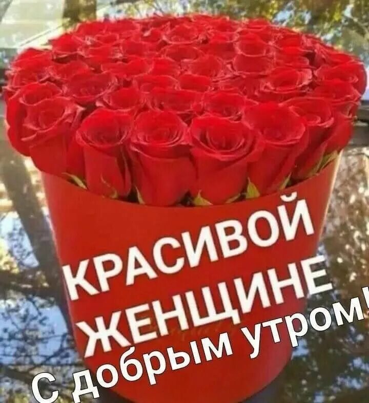 для тебя - Ücretsiz animasyonlu GIF - PicMix