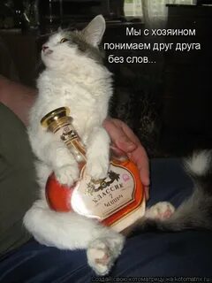 Хозяин данного