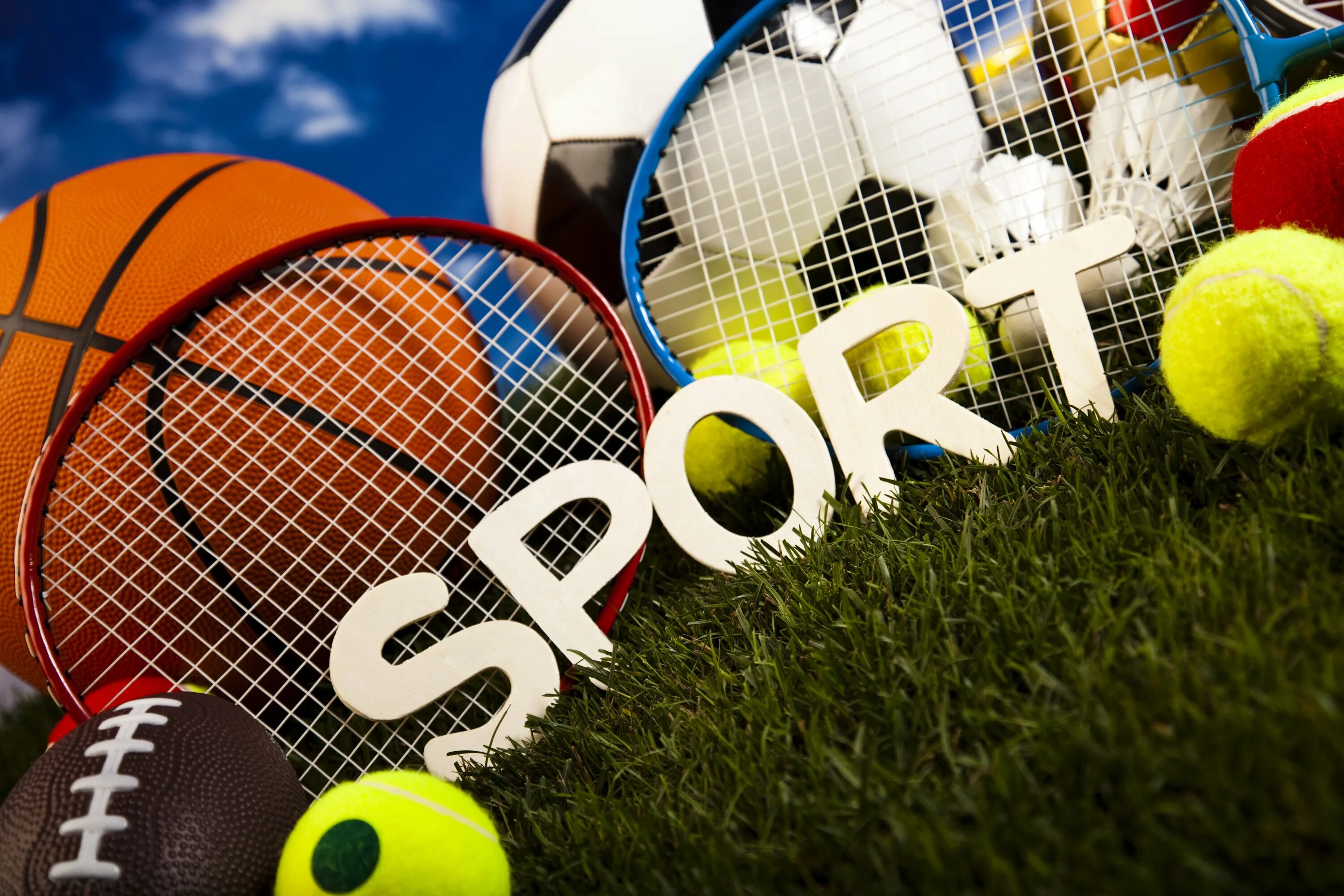 Спорт вокруг. Sport Top игрушка. Картинка для блога про спорт. Спортивный блог. Blogs sports ru