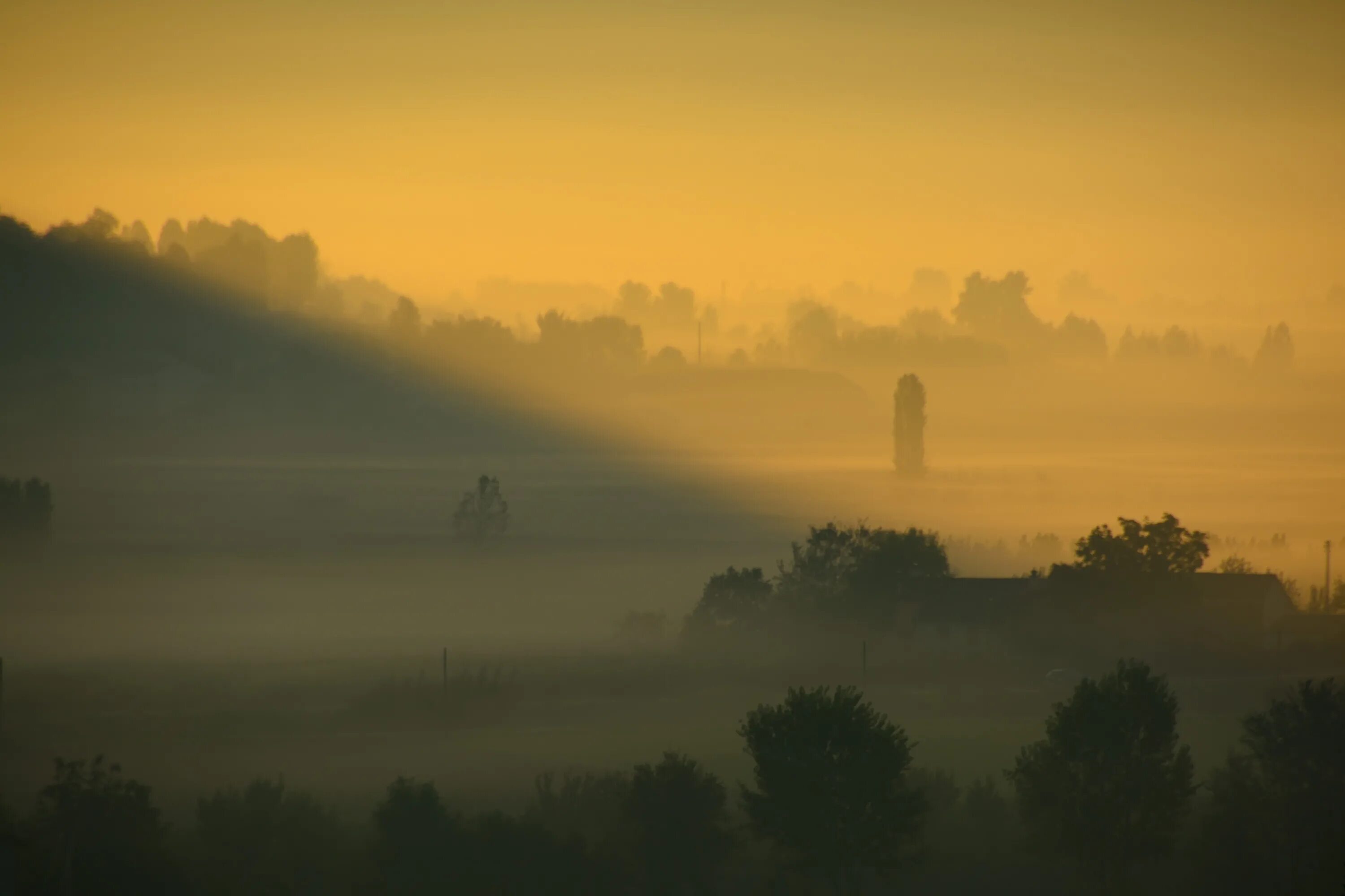 Утренний туман начинал слегка рассеиваться впр ответы. Туманное утро. Утро туман. Мгла природа. Силуэтный пейзаж.