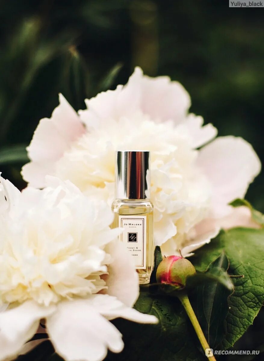 Jo malone peony blush. Jo malone peony blush