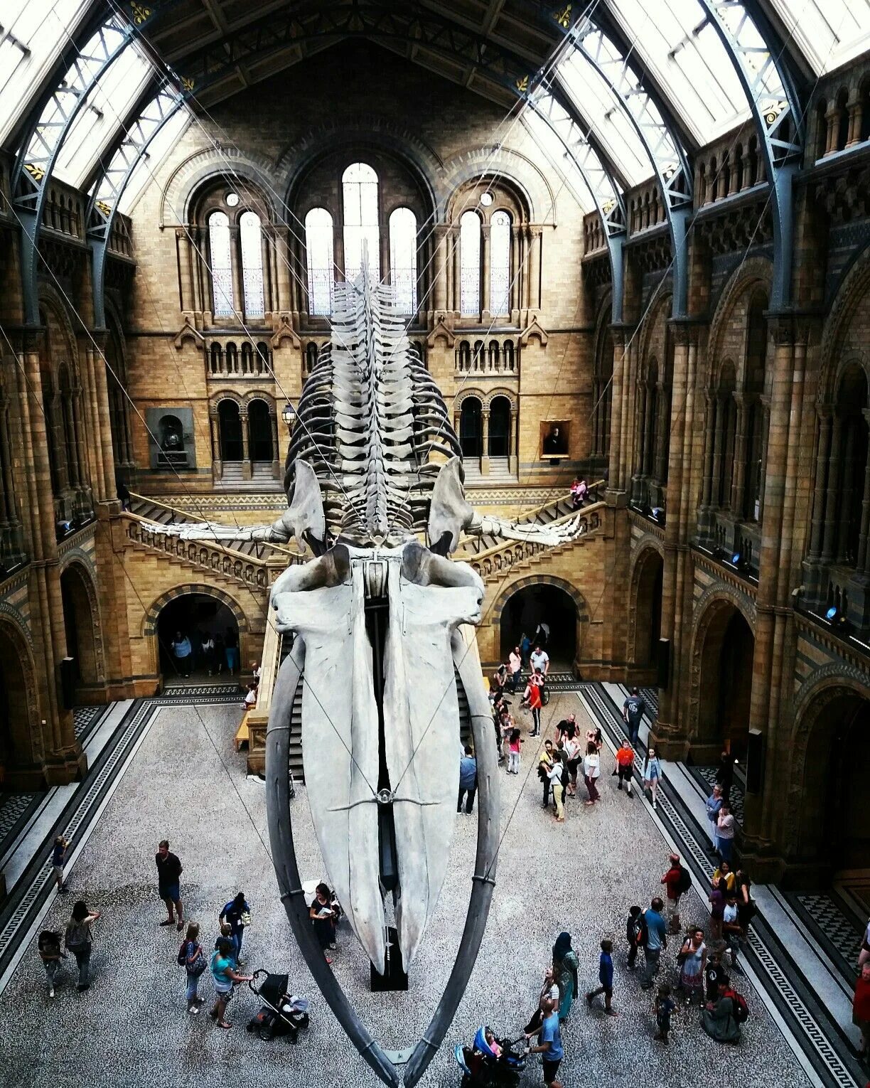 Музей естествознания (natural History Museum). Натурал хистори музей Лондон. Исторический музей в Лондоне. Музей естествознания в Англии.