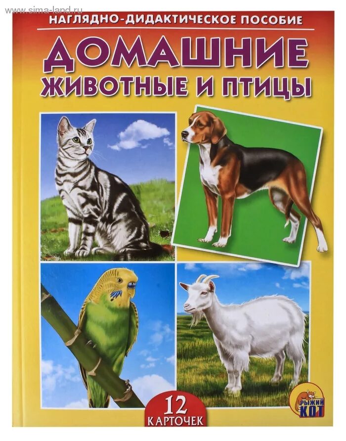 Наглядно дидактическое. Наглядное пособие домашние животные. дидактическое пособие домашние животные. наглядно-дидактическое пособие домашние животные и птицы. демонстрационный материал домашние животные.